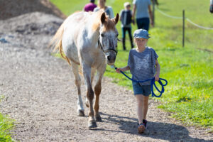 hippotherapie-k-kinder